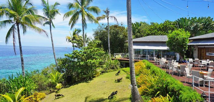 Panglao Donatela Restaurant Ocean View