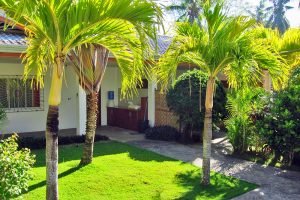 Apartment Entrance Palm Trees