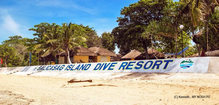 Balicasag Island Dive Resort - Philippines