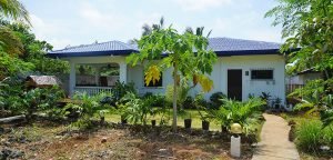 House Panglao Land For Lease