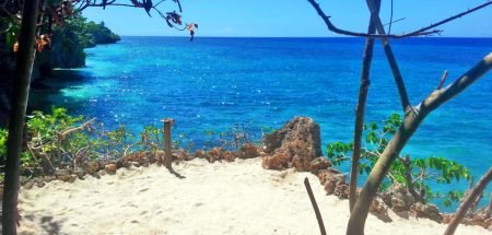 Kims Garden in Anda, Bohol Kims Garden Beach Front Anda