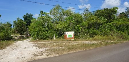 Land for sale in Panglao, Bohol Land for sale in Panglao