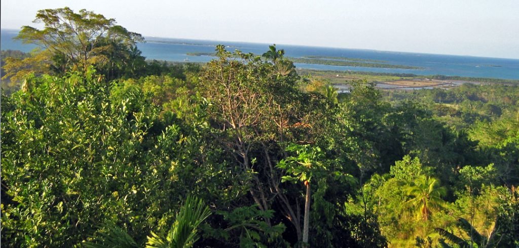 Land for Sale in Tubigon - Bohol