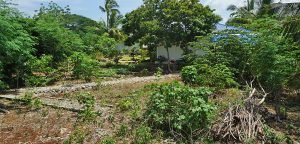 Lot for rent Panglao Philippines