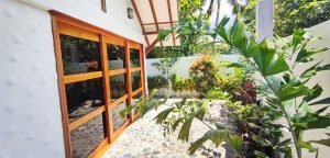 Outside Bohol house plants