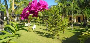 Panglao Hotel Garden Land