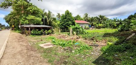 Panglao property for sale near airport Panglao Property for sale