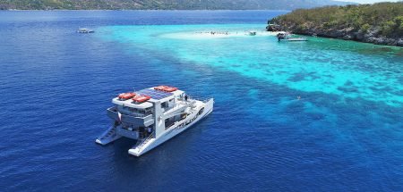 Oslob Whale Shark Watching Boat Tour Panglao Sumilon Boat Tour Dreamcat