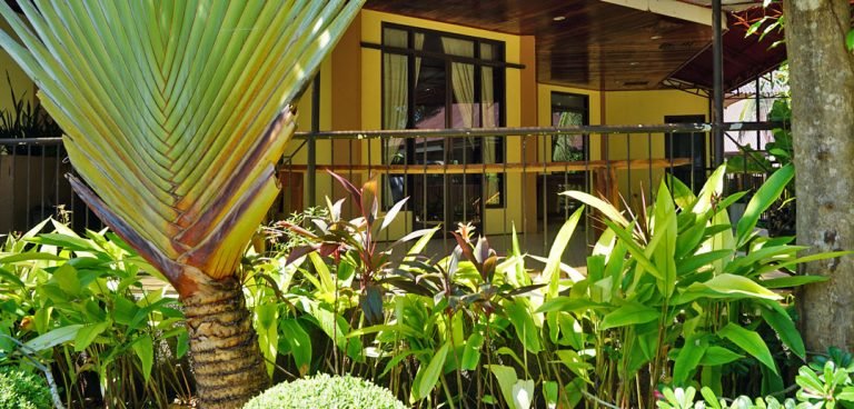 Panglao Tropical Villas Rooms