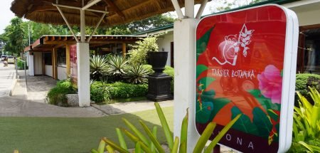 Tarsier Botanika Alona Restaurant Tarsier Botanika Alona in Panglao